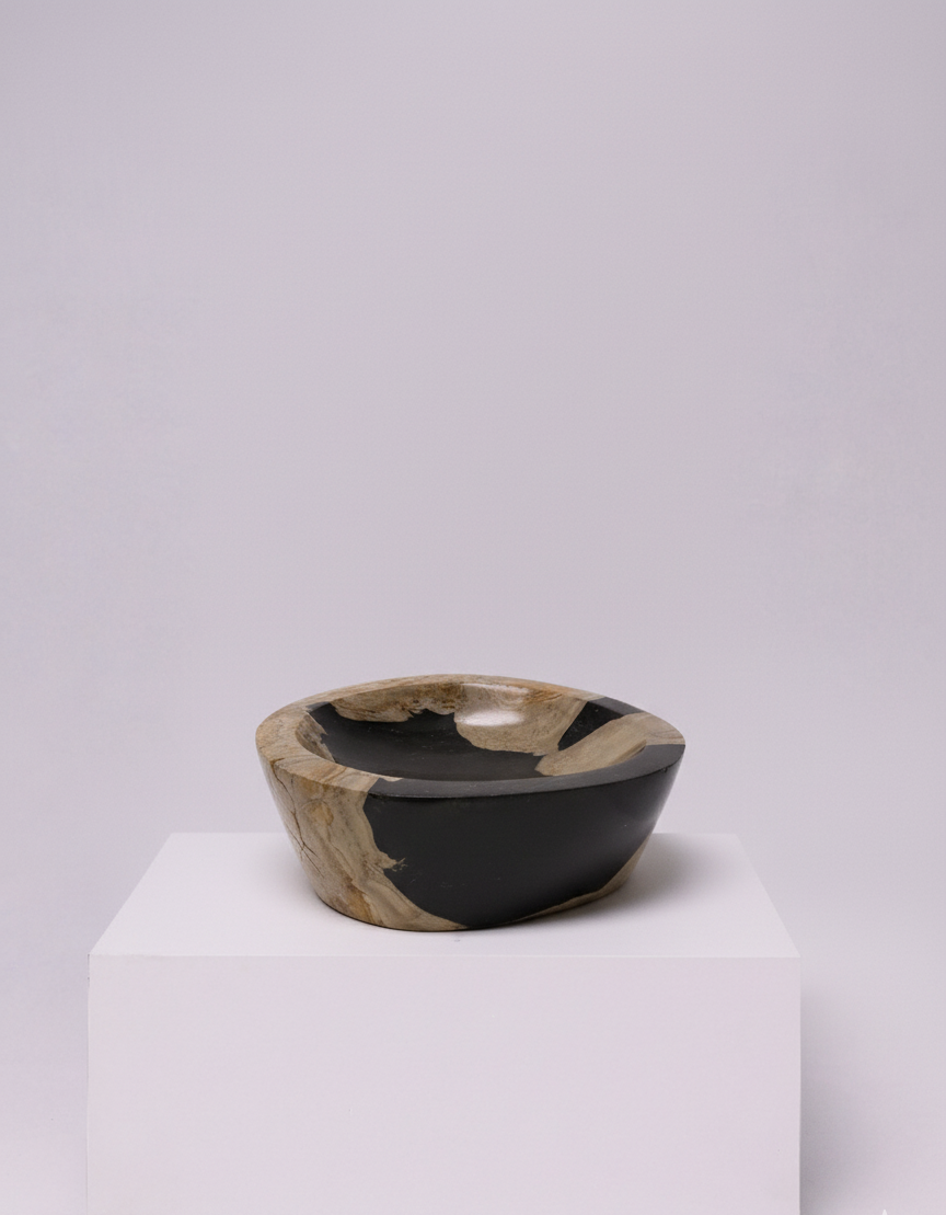 Petrified wood bowl on a white background