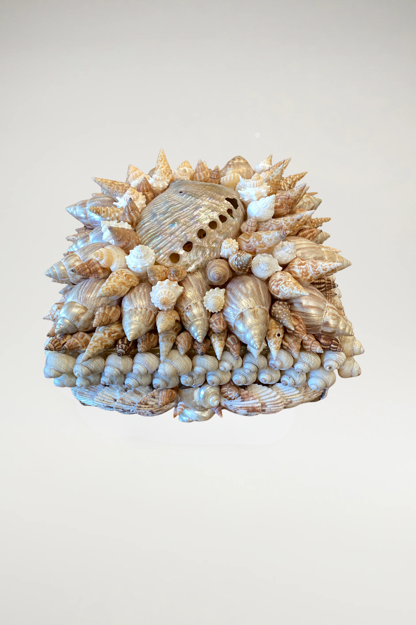 The Sovereign Shell Box