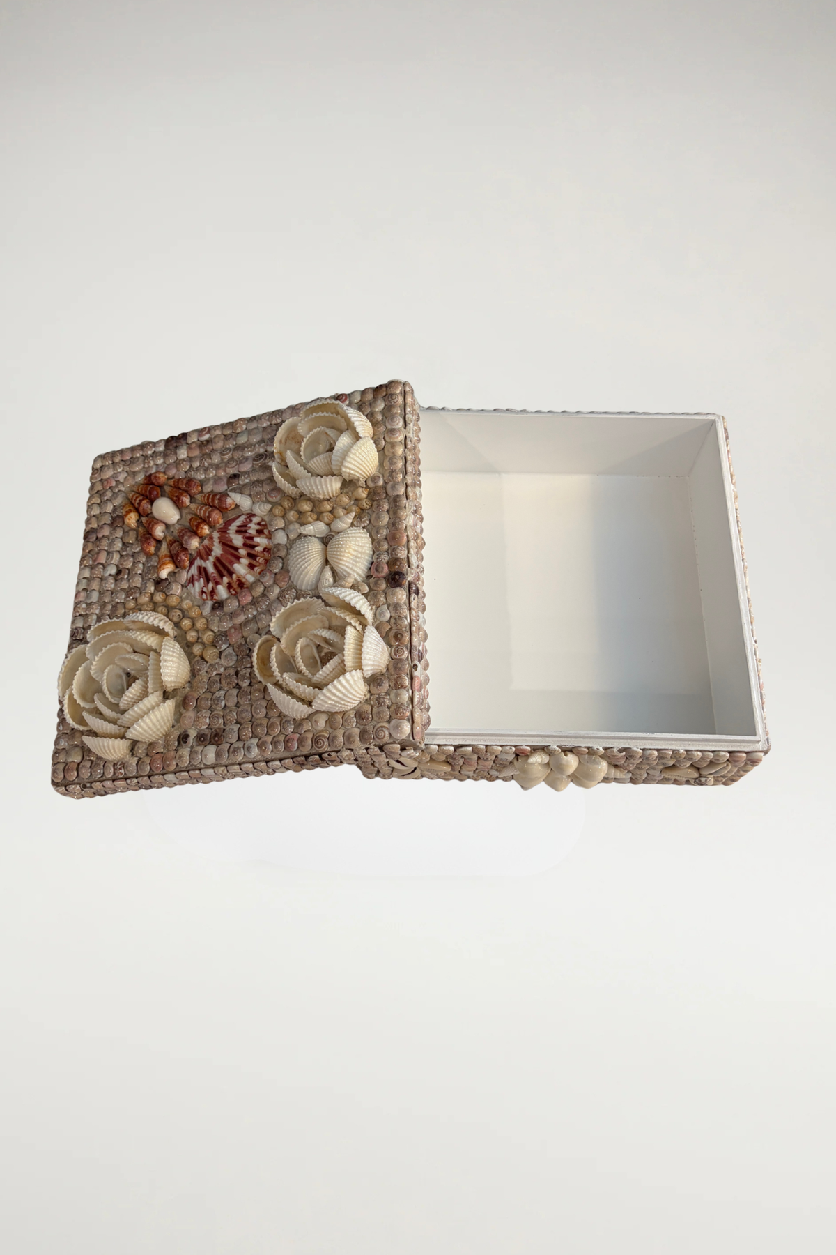 Blooming Shell Box