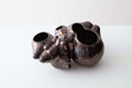Botryoidal Planter Bronze