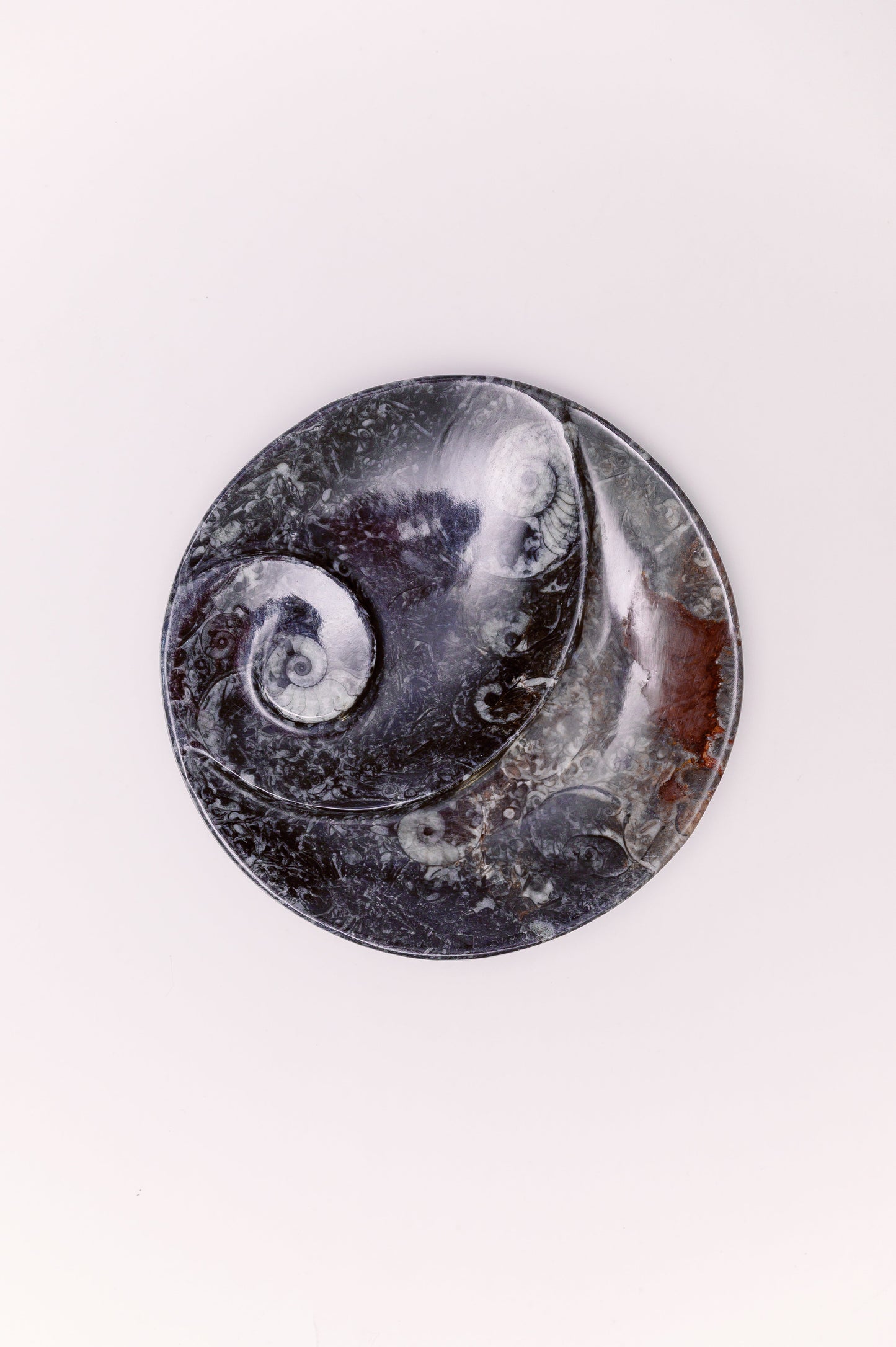 This polished, hand-carved dish is a unique piece of natural history and home decor. Crafted from a dark, fossil-rich stone, it features prominent, embedded fossils of ancient marine life.  This decorative plate showcases the intricate beauty of these extinct cephalopods, which lived in the oceans millions of years ago. Ideal for display, this dish is a conversation starter and a testament to the Earth's ancient past.