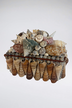 Large Cluster Shell Box