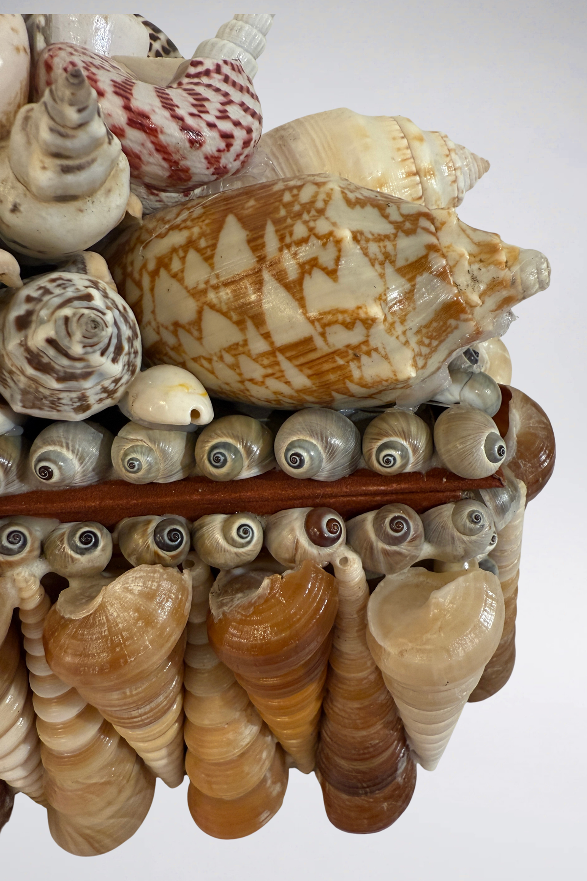 A decorative shell arrangement featuring a large conical seashell with brown geometric patterns, surrounded by smaller spiral seashells and snails in cream, beige, and brown tones, set against a plain light background.