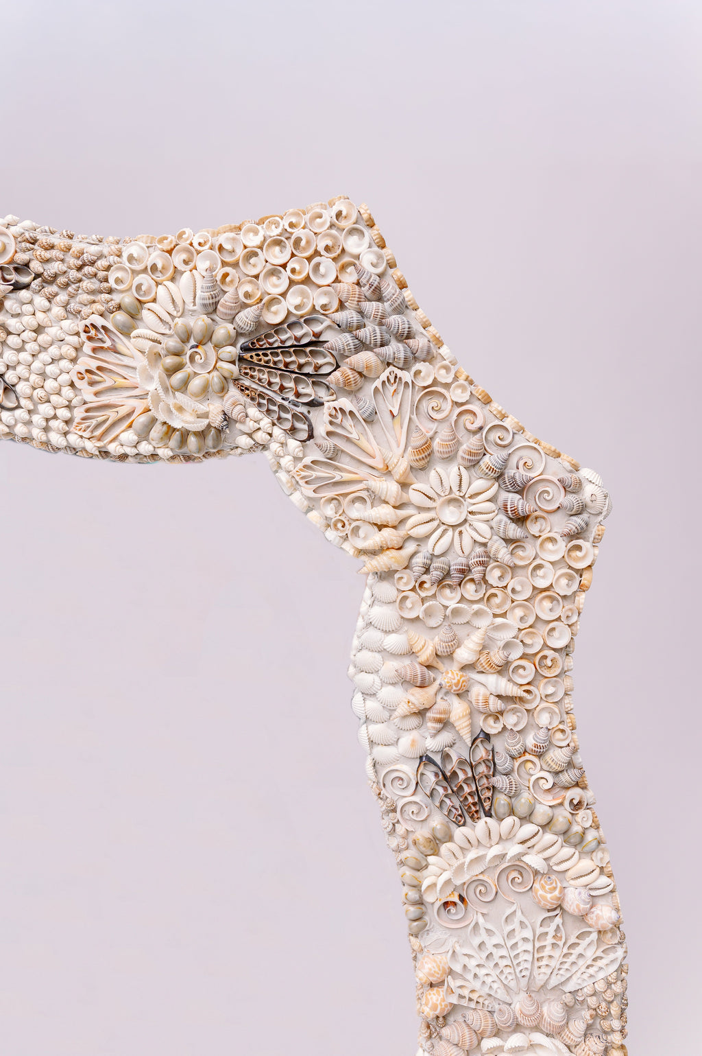 Ocean  Bloom  Shell  MIrror