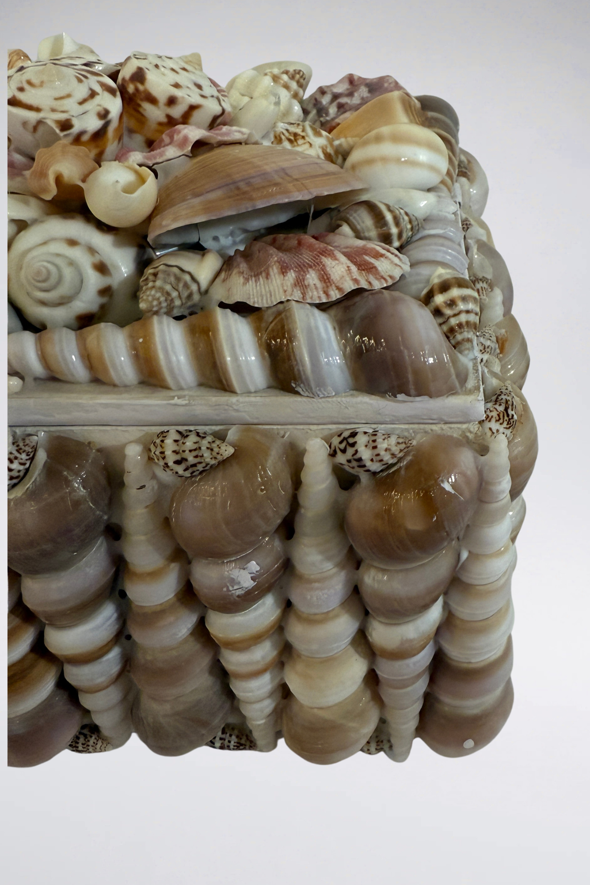 Pink Pettled Shell Box