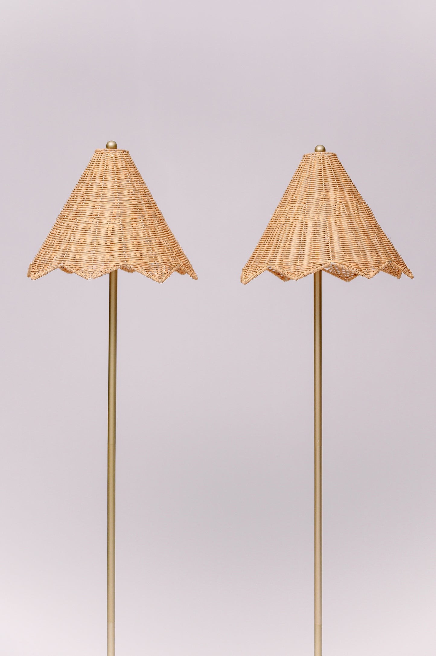 Rattan Floor Lamp