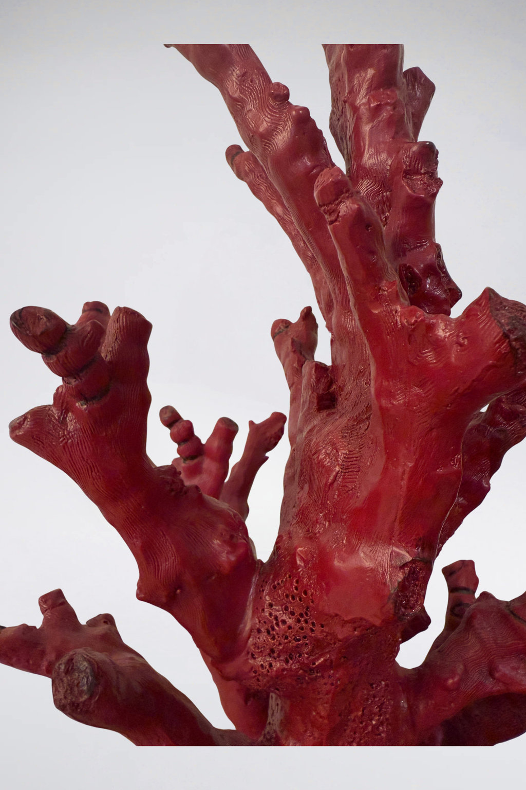 Red Coral Table Lamp