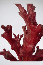 Red Coral Table Lamp