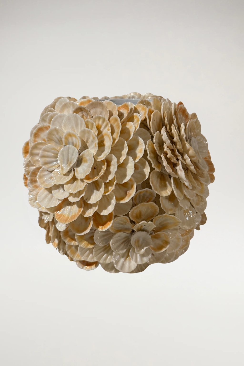 Scalloped Shell Flower Vase