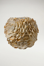 Scalloped Shell Flower Vase