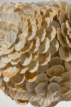 Scalloped Shell Flower Vase