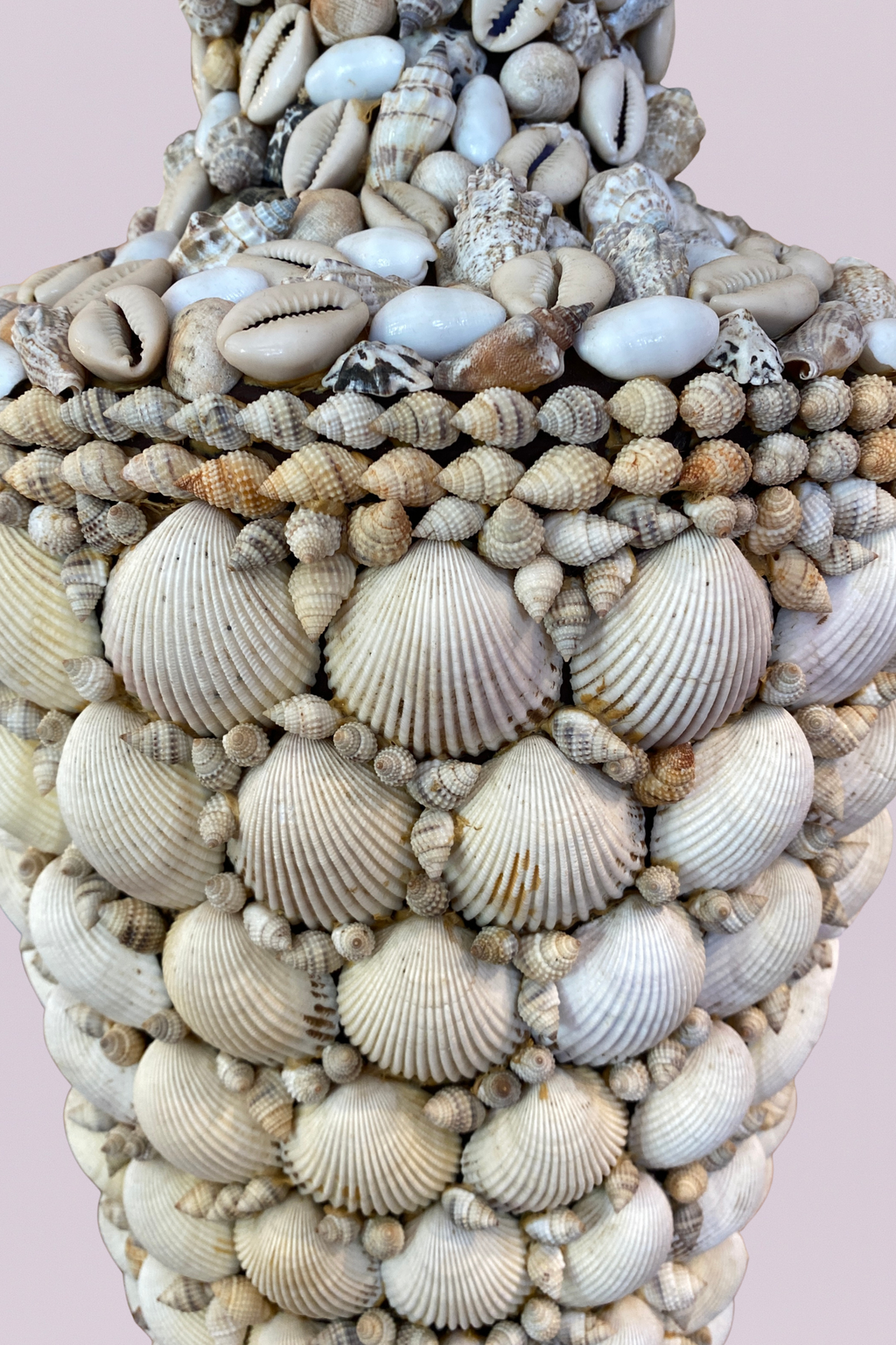 The Coquina Shell Table Lamp