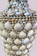 The Coquina Shell Table Lamp