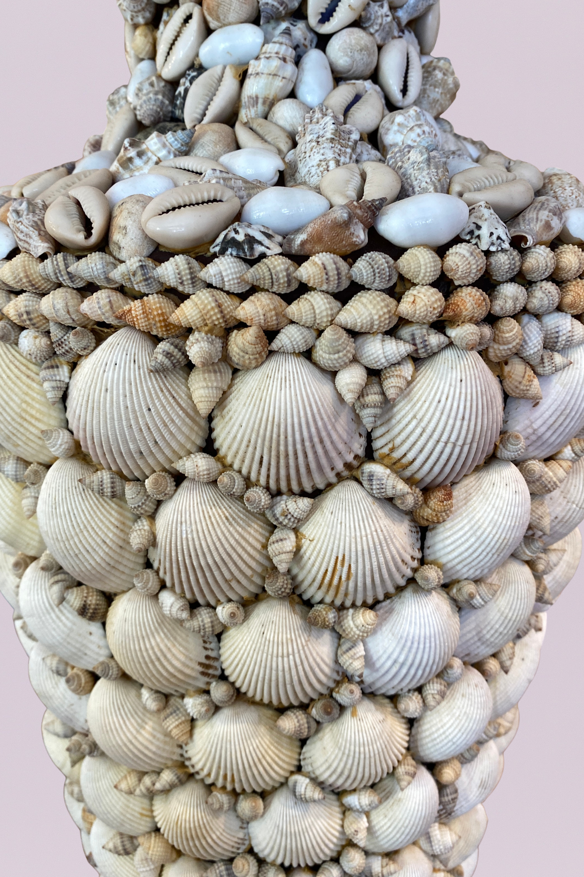 The Coquina Shell Table Lamp