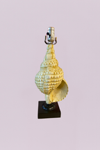 The Siren’s Call Sculptural Conch Lamp