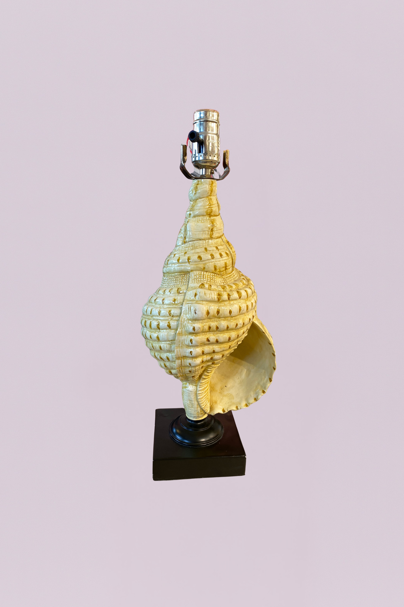 The Siren’s Call Sculptural Conch Lamp