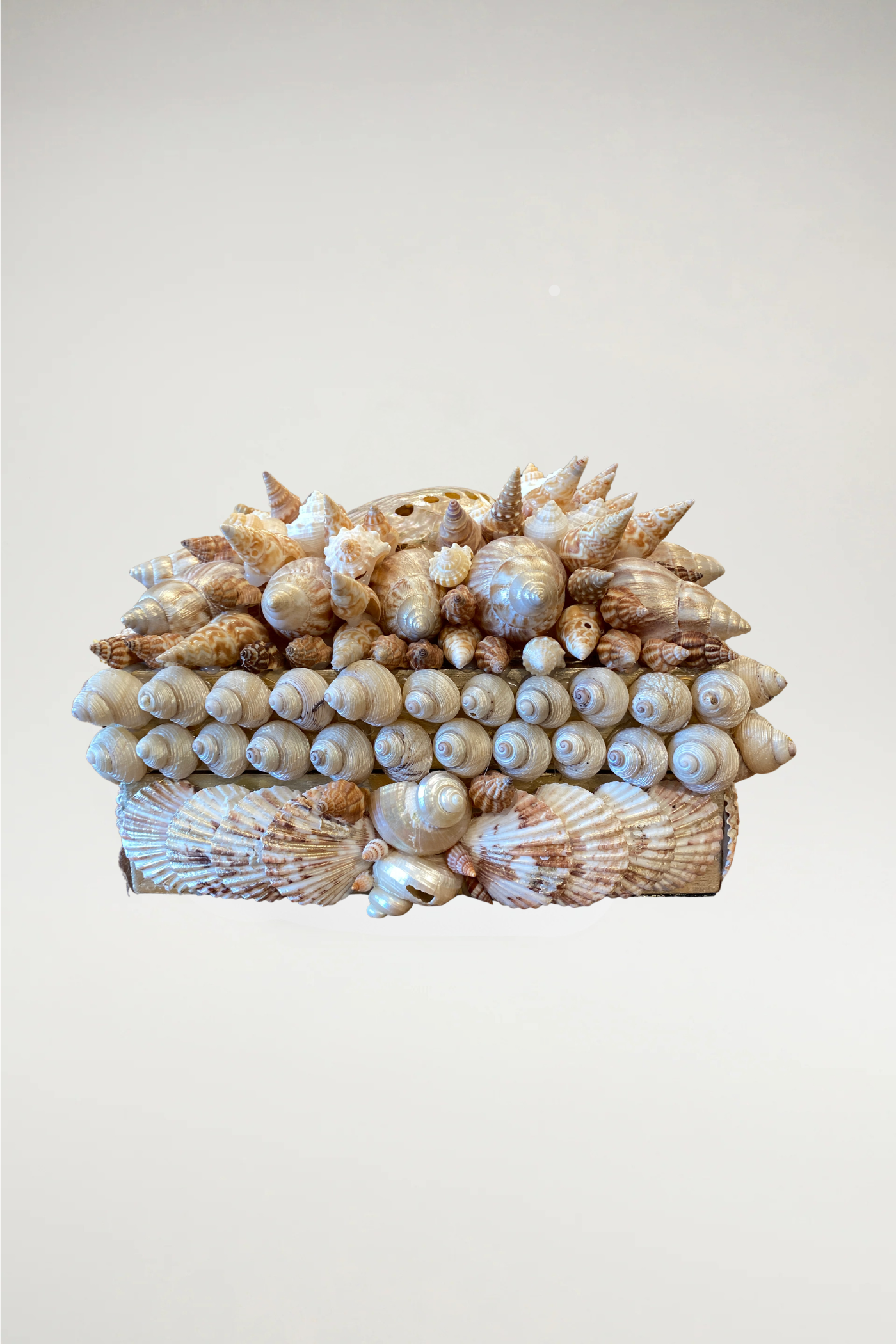 This exquisite artisan piece serves as a testament to coastal elegance, featuring a dense, hand-curated arrangement of natural shells. Centered by a luminous, iridescent abalone shell, the vessel is adorned with a variety of textures and organic shapes that reflect a high-end, regal aesthetic.