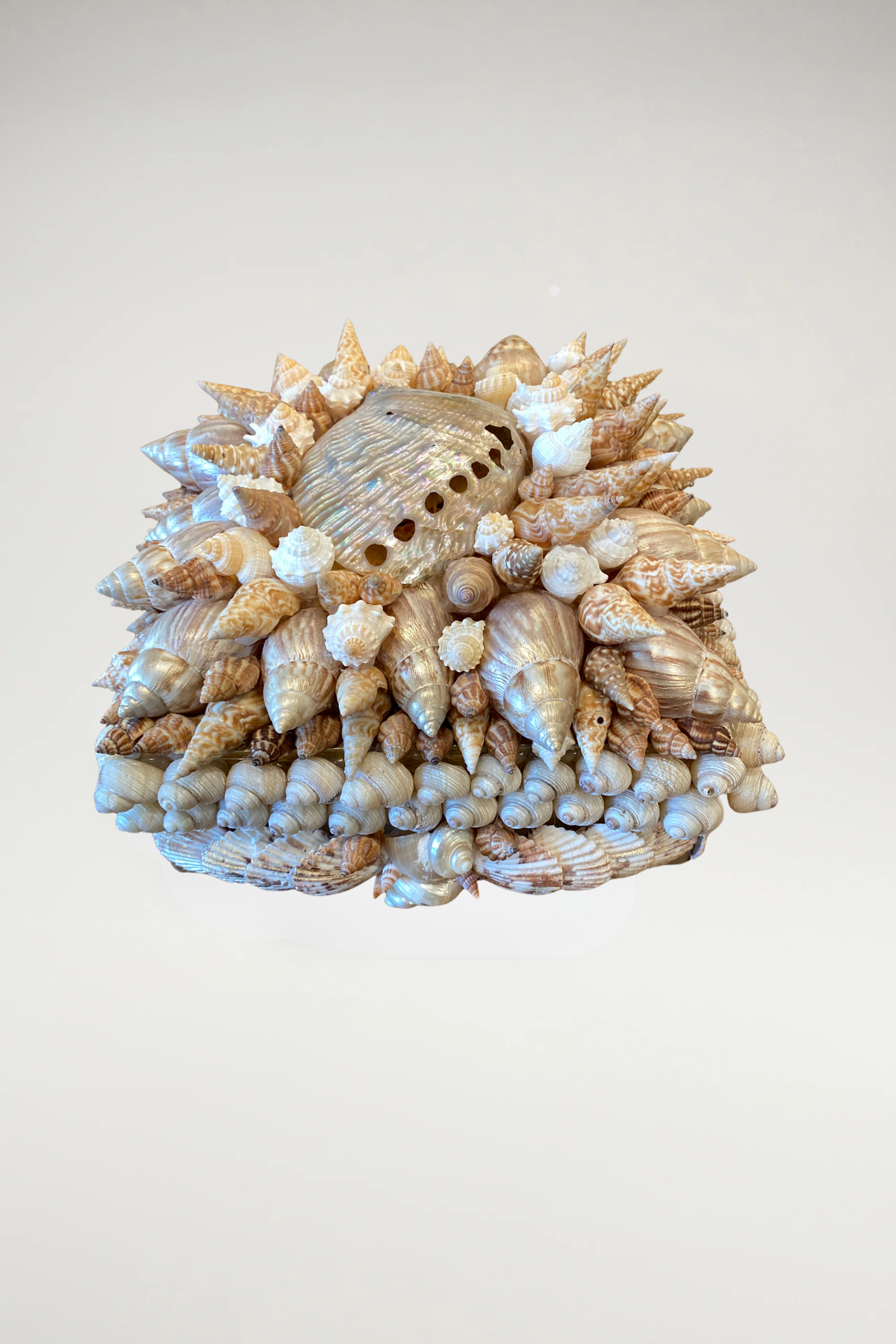 The Sovereign Shell Box
