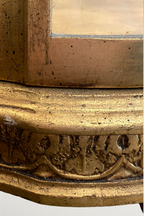 The Versailles Circular Vitrine