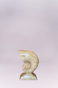 Vintage Nautilus Table base in the manner of Jean Michel Frank and Aldo Tura