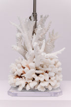 White Acrylic Coral Table Lamp