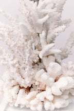 White Acrylic Coral Table Lamp
