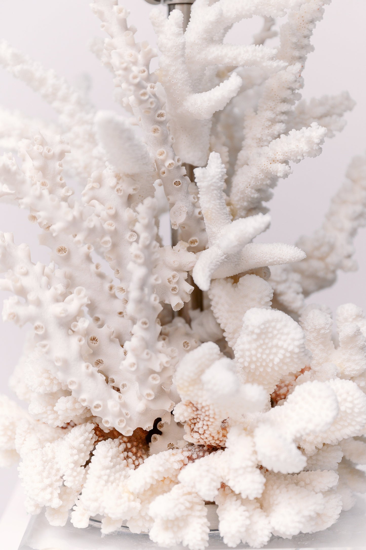 Pair of White Acrylic Coral Table Lamp