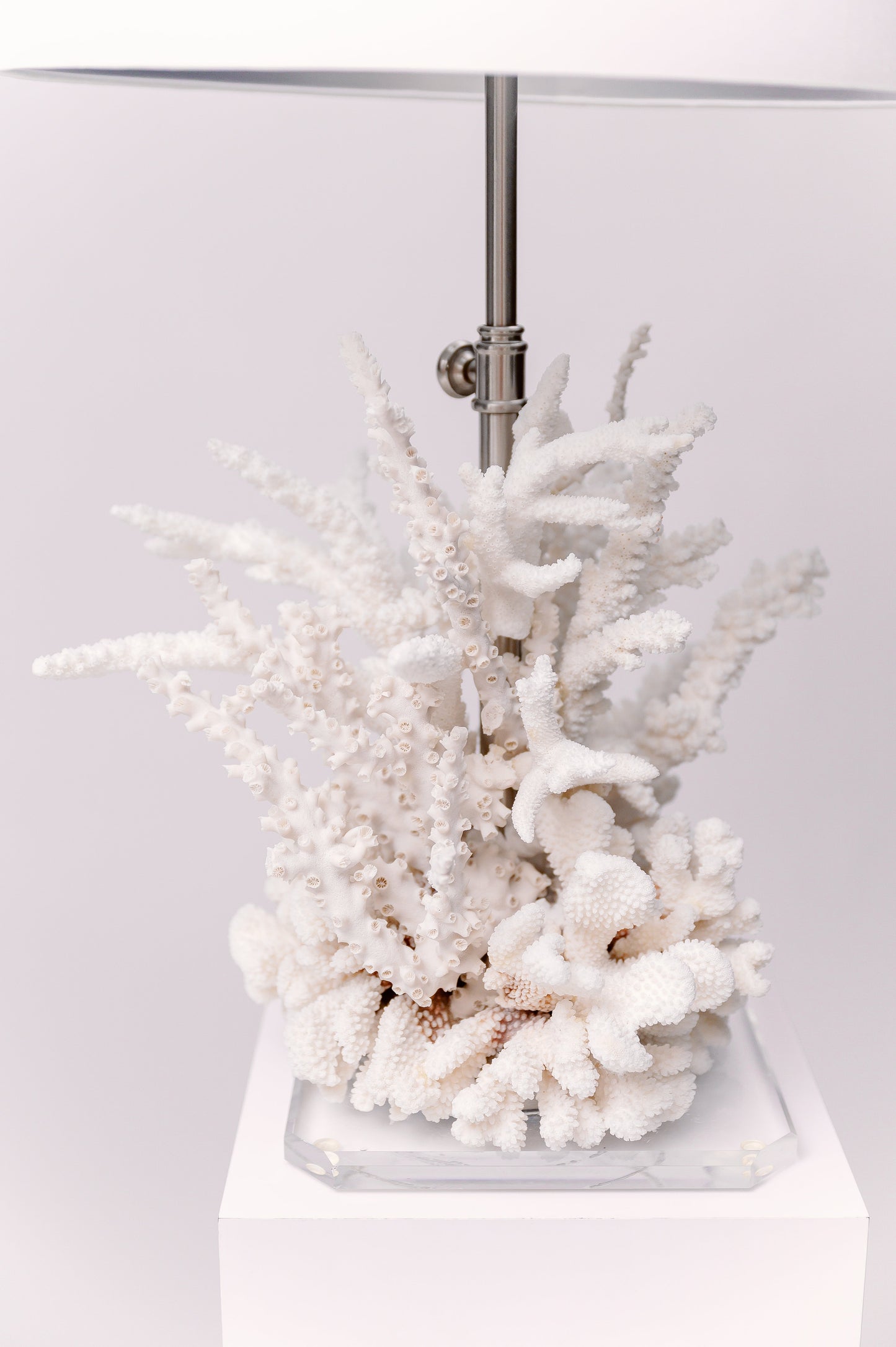 Pair of White Acrylic Coral Table Lamp