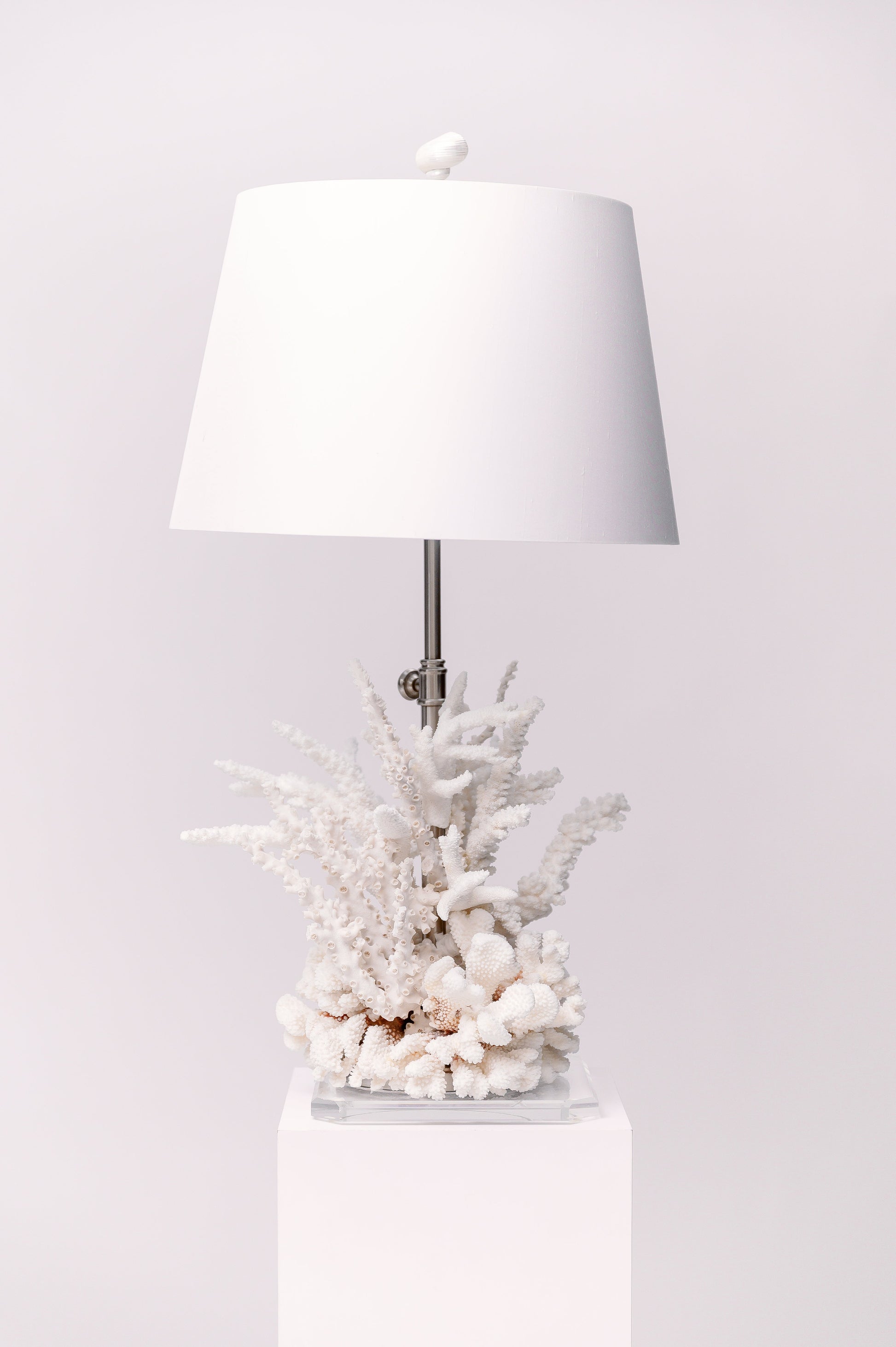 Each lamp showcases real, authentic coral arranged on a clear acrylic base, designed to illuminate any space with oceanic elegance. 