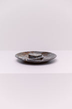 Yin and Yang Ammonite Fossil Plate