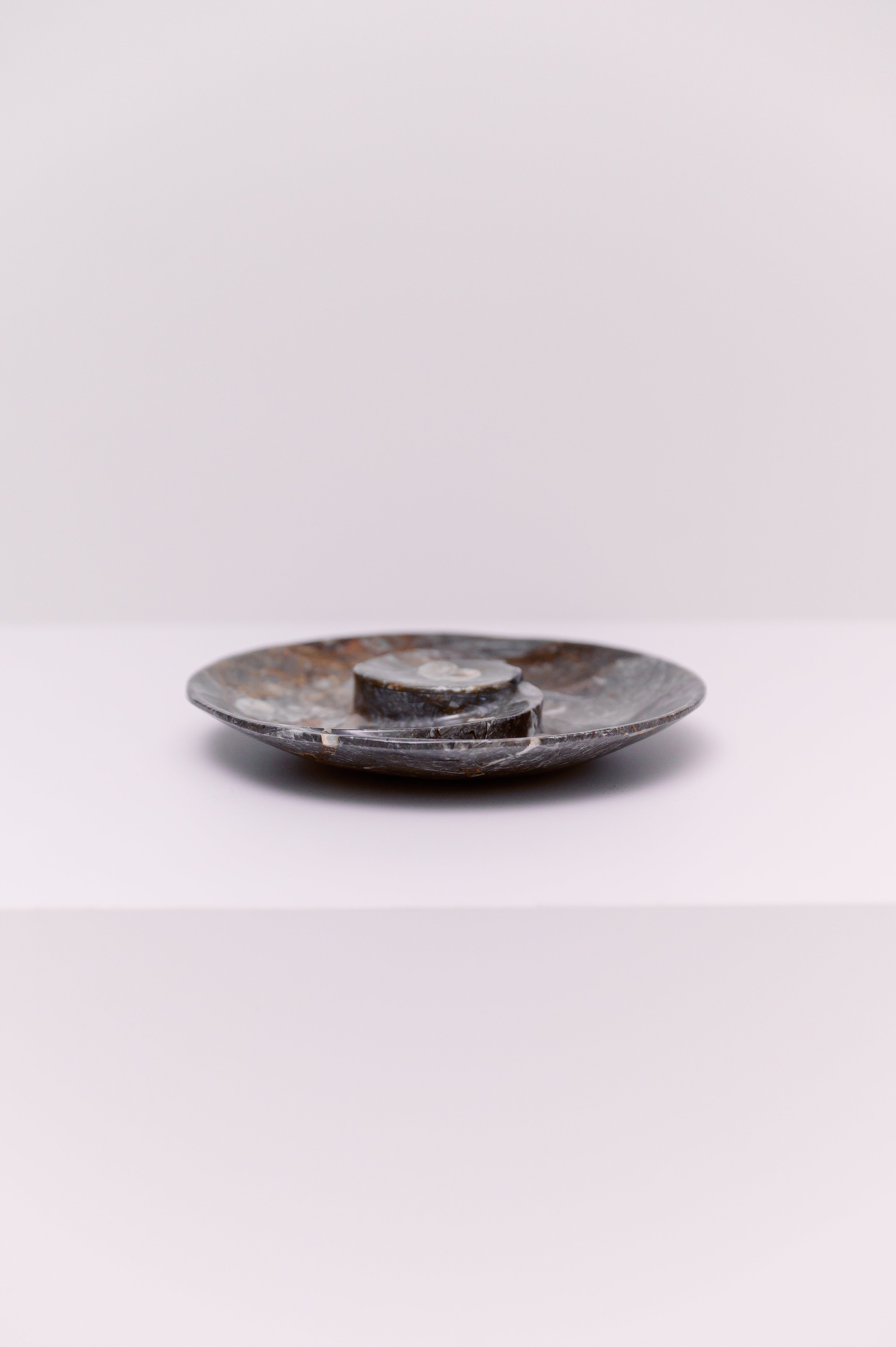 Yin and Yang Ammonite Fossil Plate