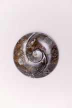 Yin and Yang Ammonite Fossil Plate